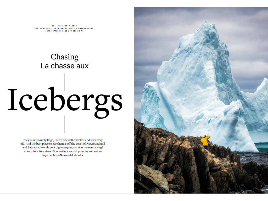 Chasing Icebergs
